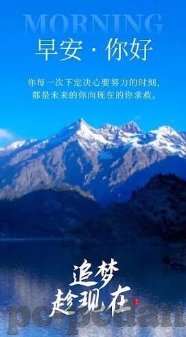 柔佛足球比分-柔佛足球，赛场风云变幻，比分背后的热血与荣耀